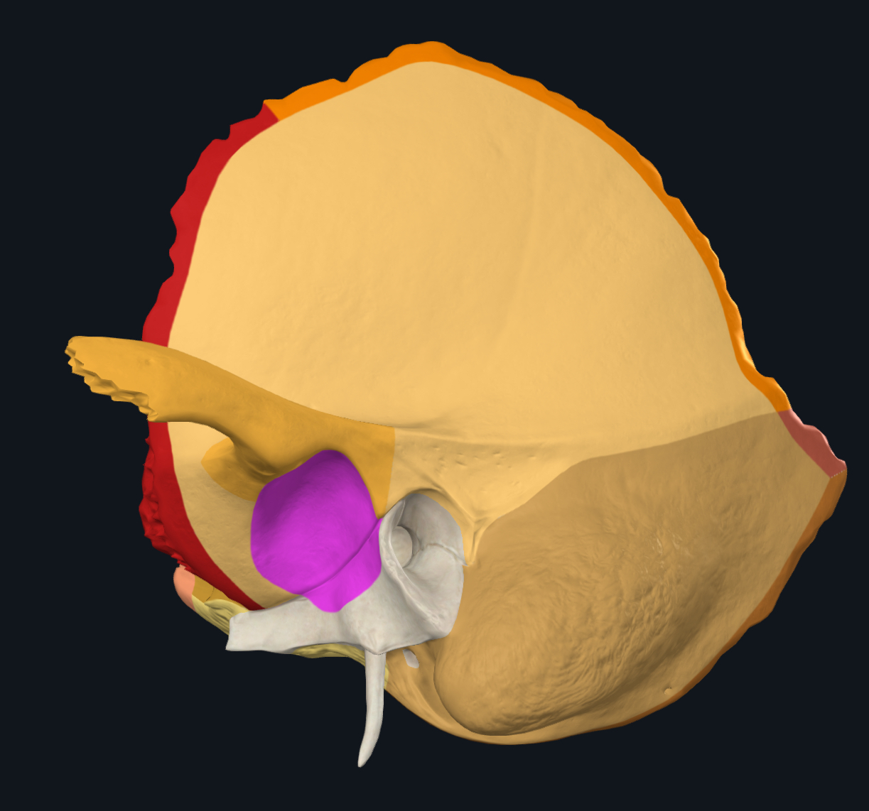 term image