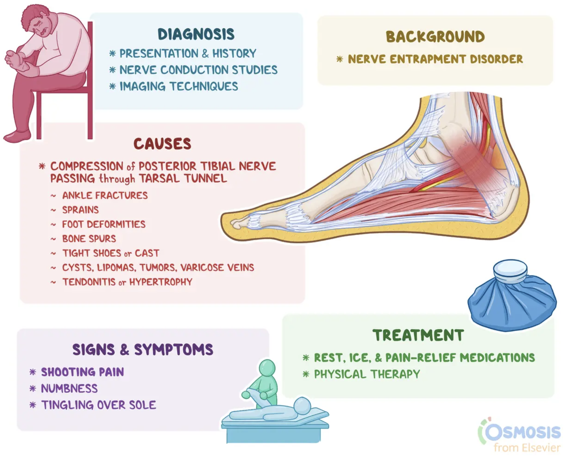 <p>Tarsal Tunnel Syndrome:</p><p>Cause: Compression of posterior tibial nerve, likely 2/2 to ankle fx or dislocation. Scar tissue, bone spur can develop and compress the nerve.</p><p></p><p>Symptoms: Numbness or paresthesias in the distribution of then nerve. Pain can radiate up the heel and calf, worse at night or w/standing.</p><p></p><p>Tinel sign: Tingling after percussion.</p><p>Tx: NSAIDS, shoe modification, steroid shot</p>