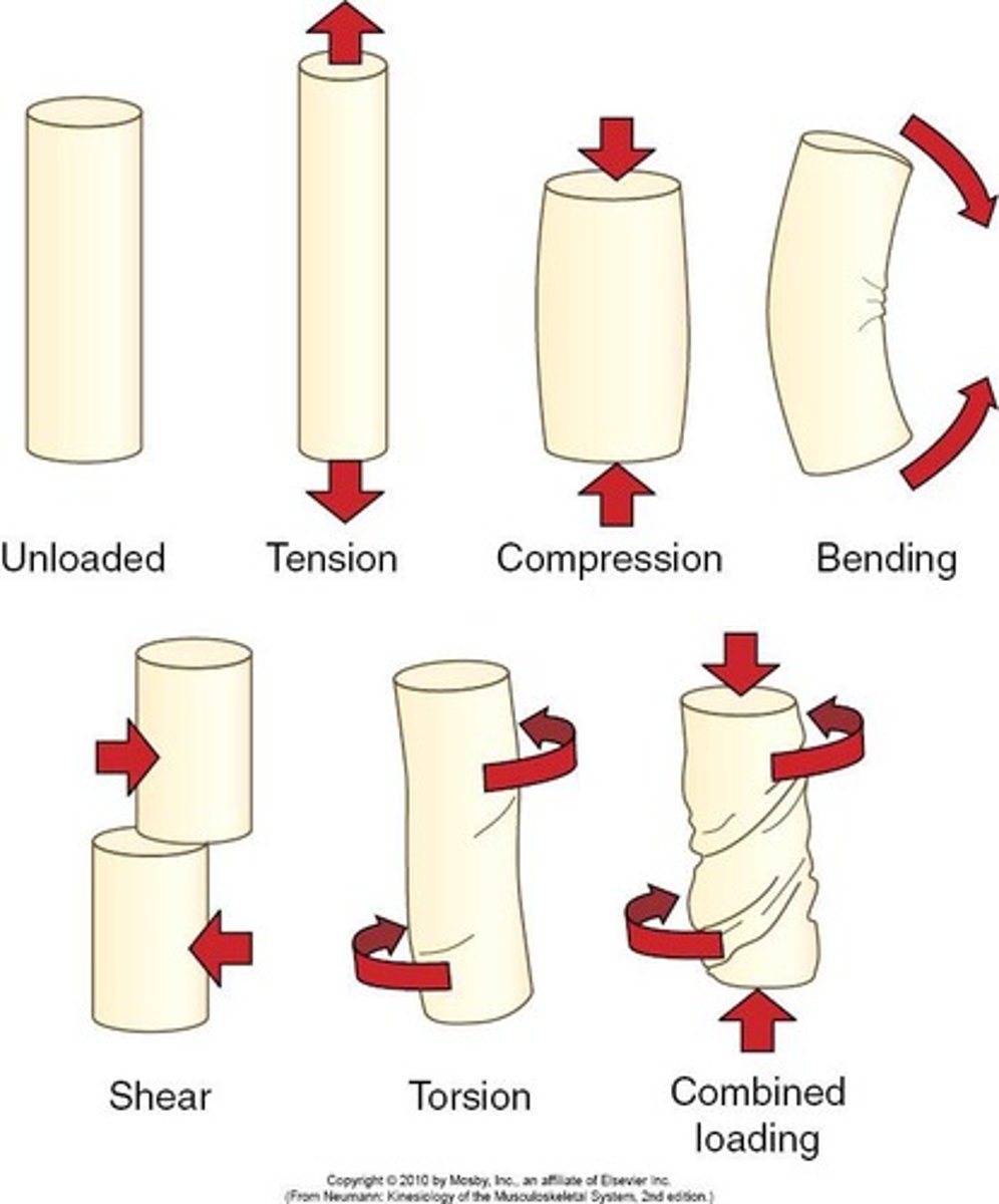 <p>Tension, Compression, Bending, Shear, Torsion</p>