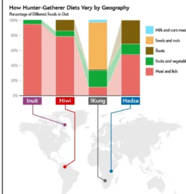 <p>diet among modern hunter-gatherers</p><p>- changes by region; for example</p><p>- a lot meat/fish (Inuit, Hiwi)</p><p>- intermediate amount of meat (Hadza)</p><p>- little meat (!Kung)</p><p>→ among early modern humans likely not ALL ate primarily meat/fish</p>