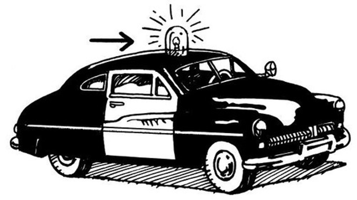 <p>police siren or horn</p>