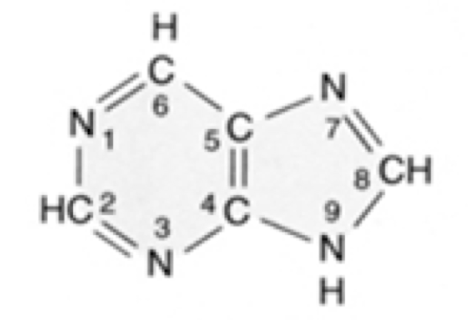 What  nucleic acid is this?