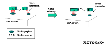 <p>vary <strong>length of carbon chain in between two binding groups</strong> to either encourage or inhibit binding interactions</p>