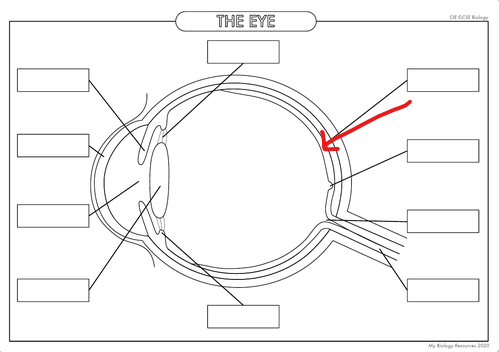 <p>What is the part in the diagram called?</p>