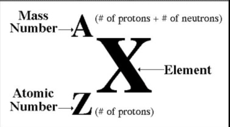 <ul><li><p><strong>Proton (Z): </strong>a positively charged particle that adds mass to an atom. </p></li><li><p><strong>Neutron (N): </strong>neutral particle that adds mass to an atom.</p><p></p></li></ul><p>The total number of protons and neutrons is the<strong> nucleon number (A):</strong></p><p><strong>A = Z + N</strong></p>