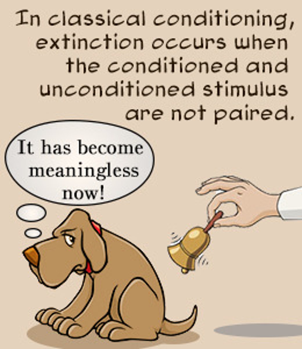<p>(B) Extinction</p><p>Extinction refers to a loss of the Conditioned Response in response to the Conditioned Stimulus. This is what happened when your mom stopped giving you Amazon gift cards.</p>