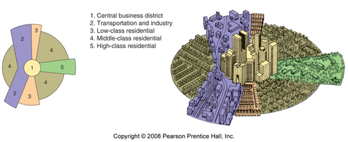 Focuses on residential patterns explaining where the wealthy in a city choose to live. He argued that the city grows outward from the center, so a low-rent area could extend all the way from the CBD to the city's outer edge, creating zones which are shaped like pieces of a pie.