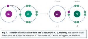 <p>Ionic bonding occurs between a metal and a non-metal. Ionic bonding involves a transfer of electrons.</p><p>When an atom gains or looses electrons it becomes an ion. An ion is a charged particle.</p><p>-Metal atoms lose electrons to form positive ions.</p><p>-Non-metal atoms gain electrons to form negative ions.</p><p>The size of the charge on the ion is equal to the valency of the element, i.e. the number of unpaired electrons.</p>