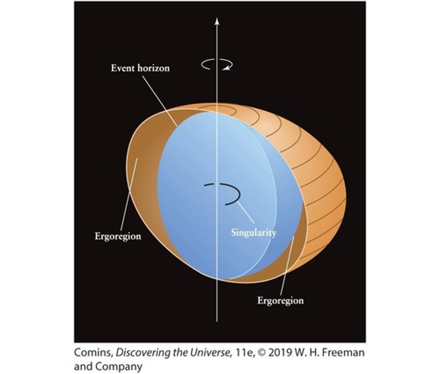 <p>Rotating black holes that possess angular momentum and collapse to a ring-shaped singularity located inside the black hole.</p>