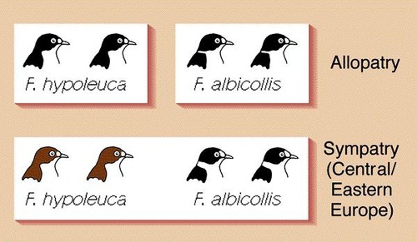 <p>Allopatric speciation is believed to be the dominant mode of speciation.</p>