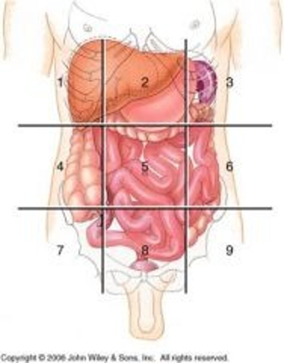 <p>7</p>