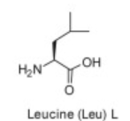<p>Leu</p>