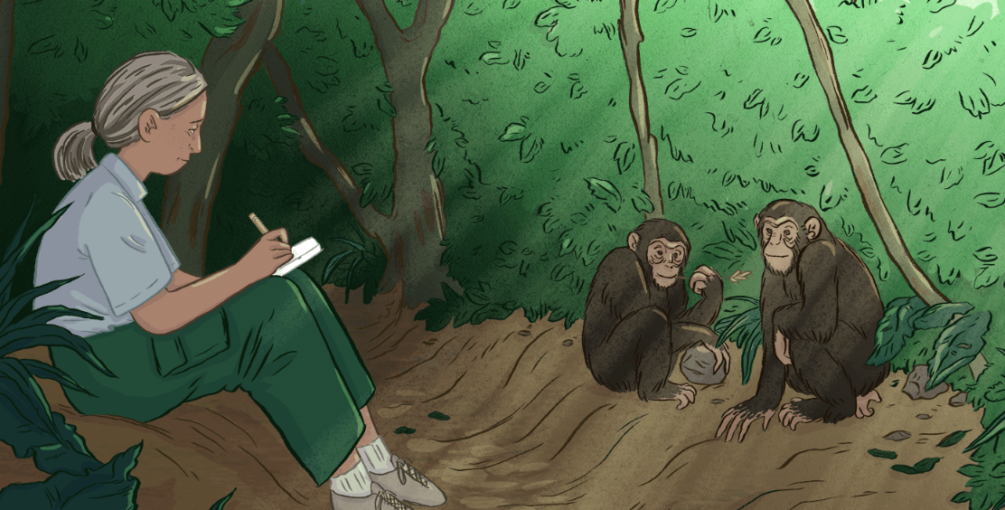 <p>watching and recording the behavior of people or animals in their <mark data-color="yellow" style="background-color: yellow; color: inherit">natural environment </mark>without intervening</p>