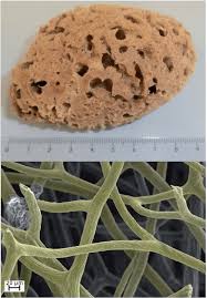 <p>What is this called?</p>