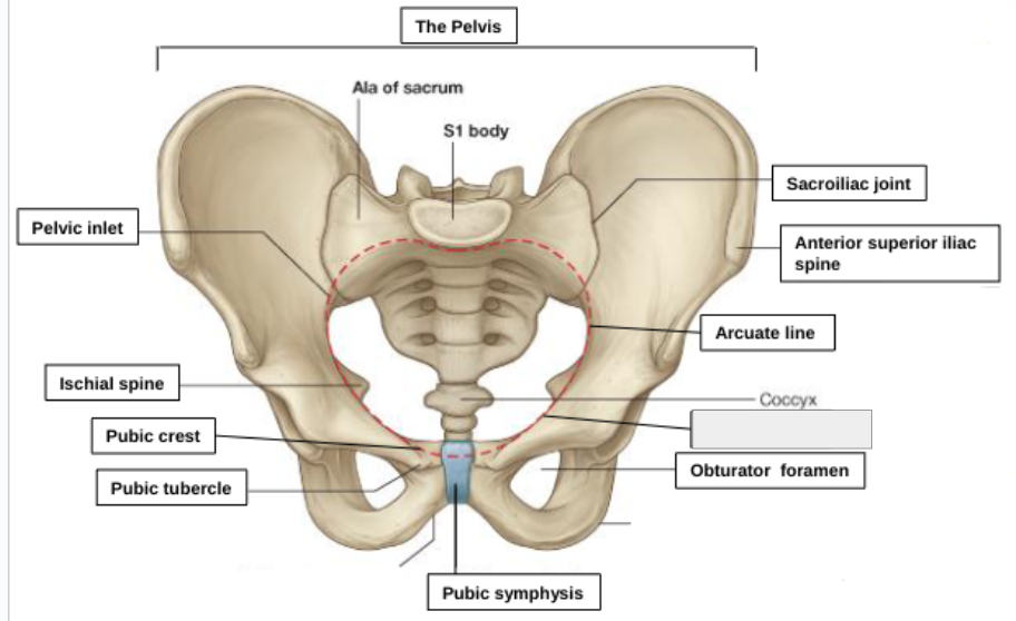 <p>what structure is that?</p>