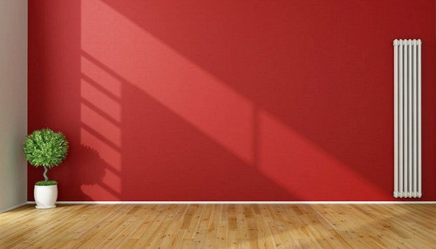 <p>wall</p>