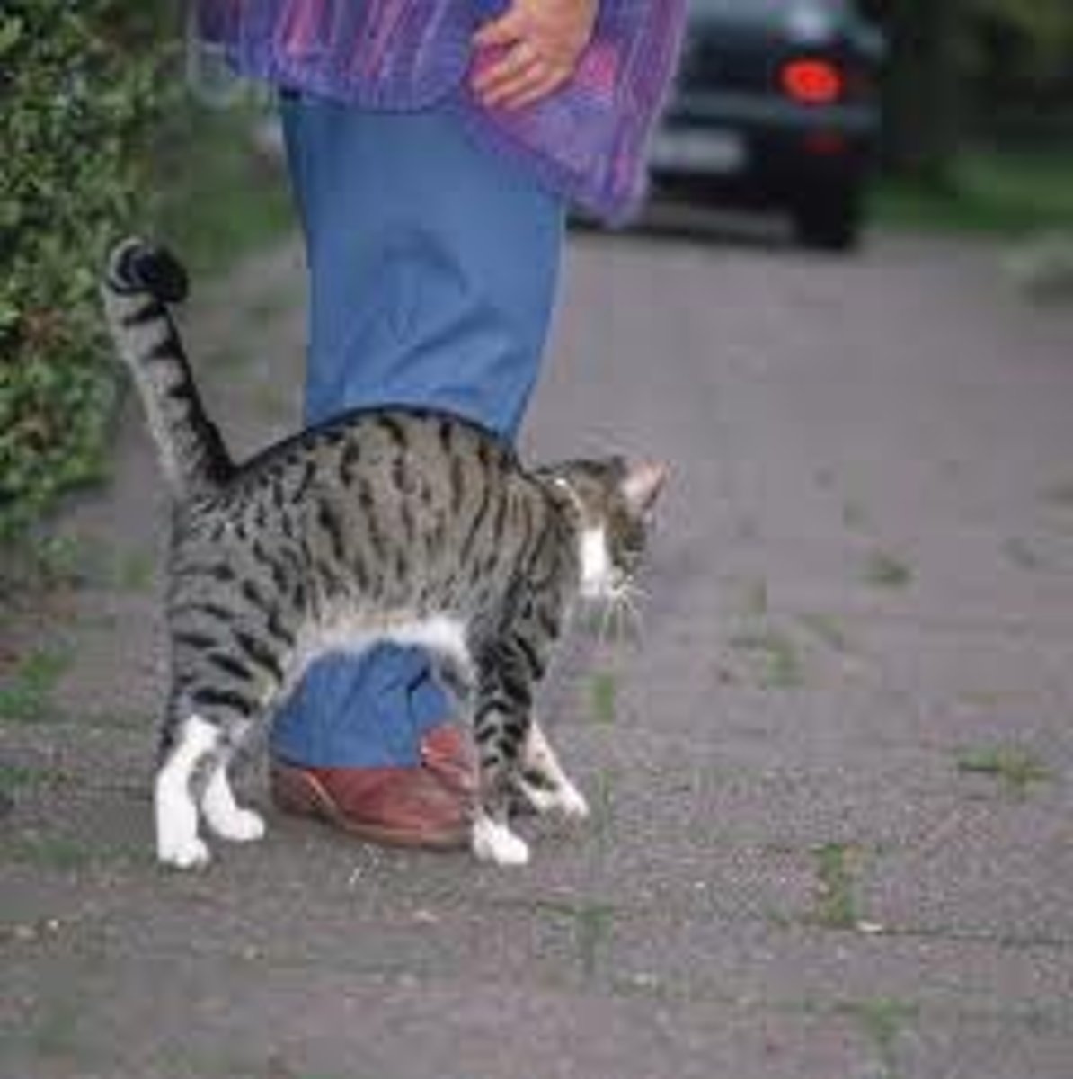 <p>to brush against</p>