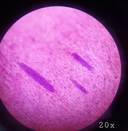 <p>?</p>