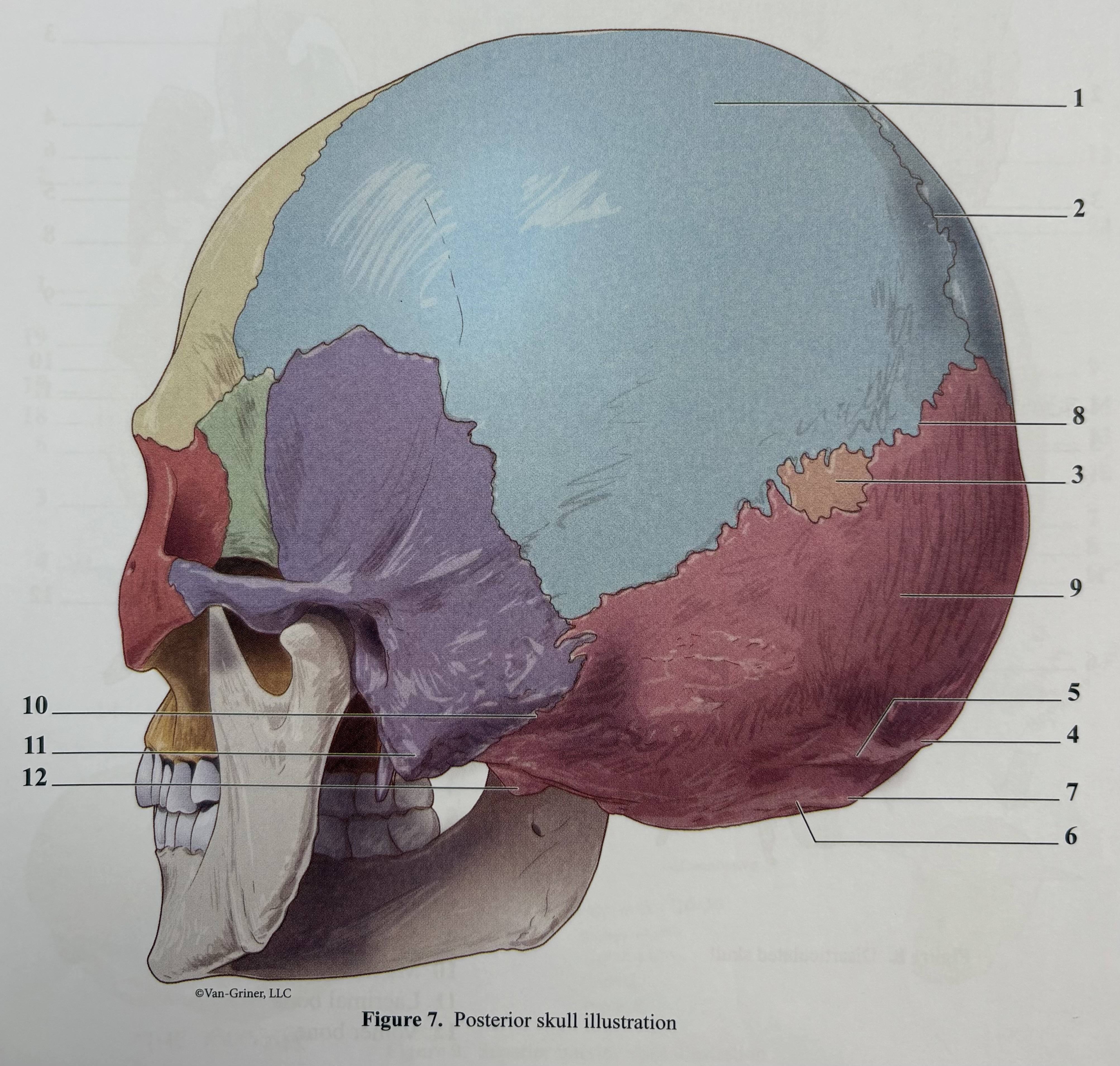 <p>2?</p>