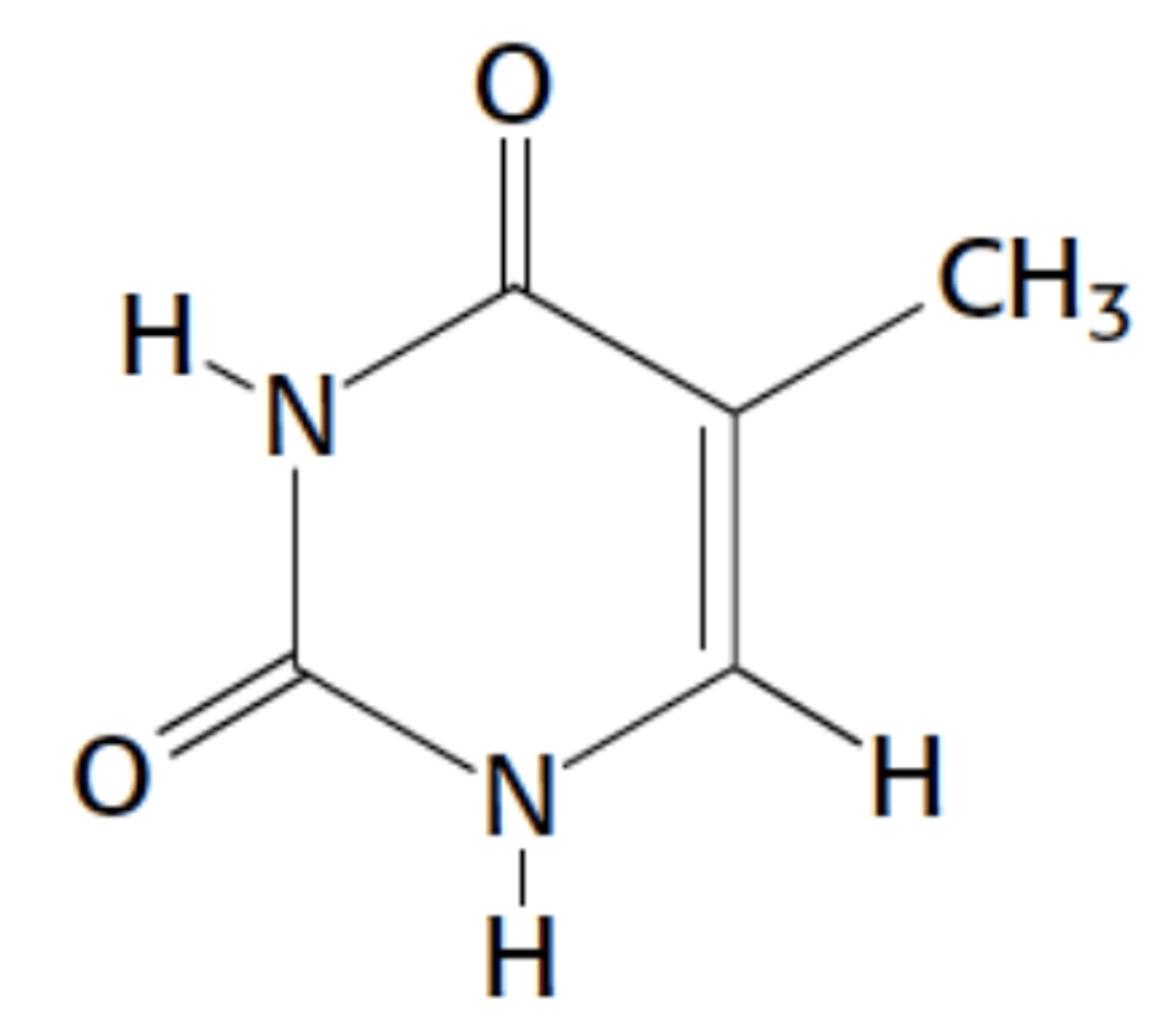 <p>Name this structure</p>