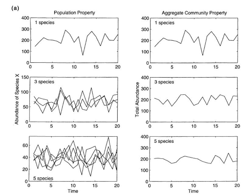 <p>The <strong>portfolio effect </strong></p>
