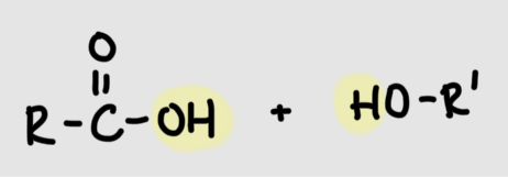<p>Carboxyl group + hydroxyl group</p>
