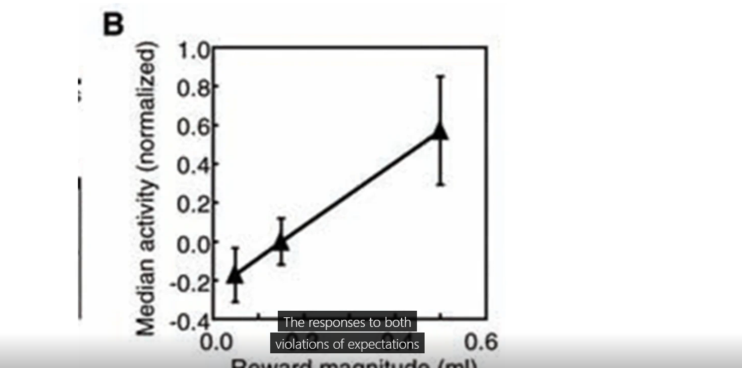 <p>what does this figure show</p><p></p><p>when does representation in DA emerge</p>
