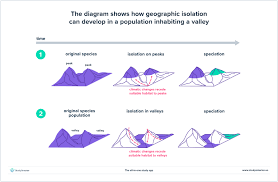 <p><span style="color: #ffd4c7"><strong>Behavioral isolation</strong></span><span><strong>, </strong></span><span style="color: #b2c3ff"><strong>geographic isolation,</strong></span><span><strong> and </strong></span><span style="color: #f7a3ff"><strong>temporal isolation</strong></span><span>.</span></p>