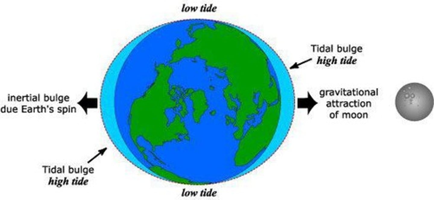 <p>Caused by moon's gravitational pull on oceans.</p>