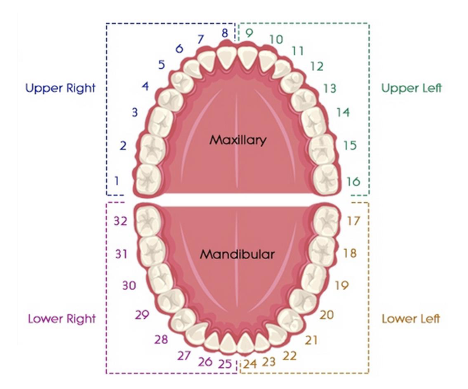 <p>1-8</p>
