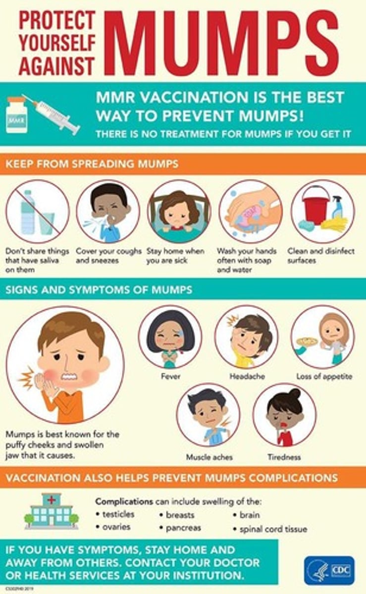 <p>Headache, anorexia, malaise, parotitis (swelling of the parotid gland bilateral), and low to moderate grade fever</p>