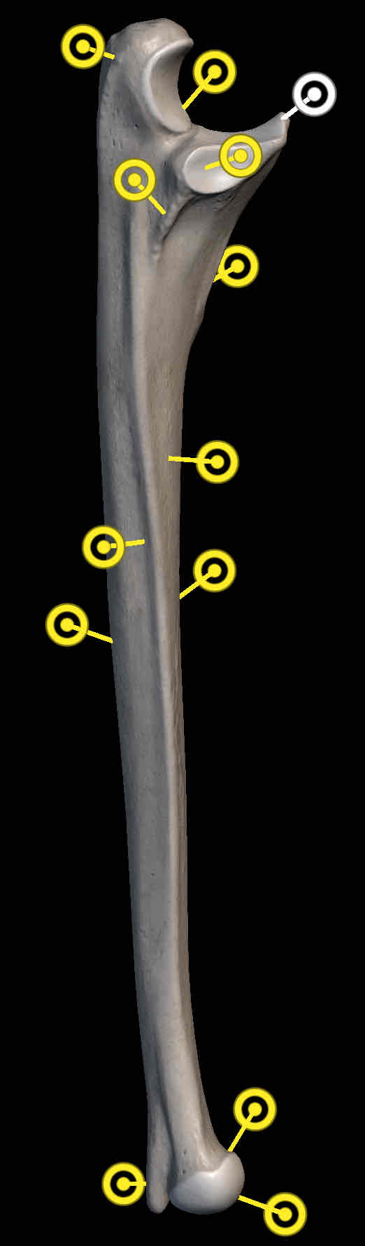 <p>Name the structure </p>
