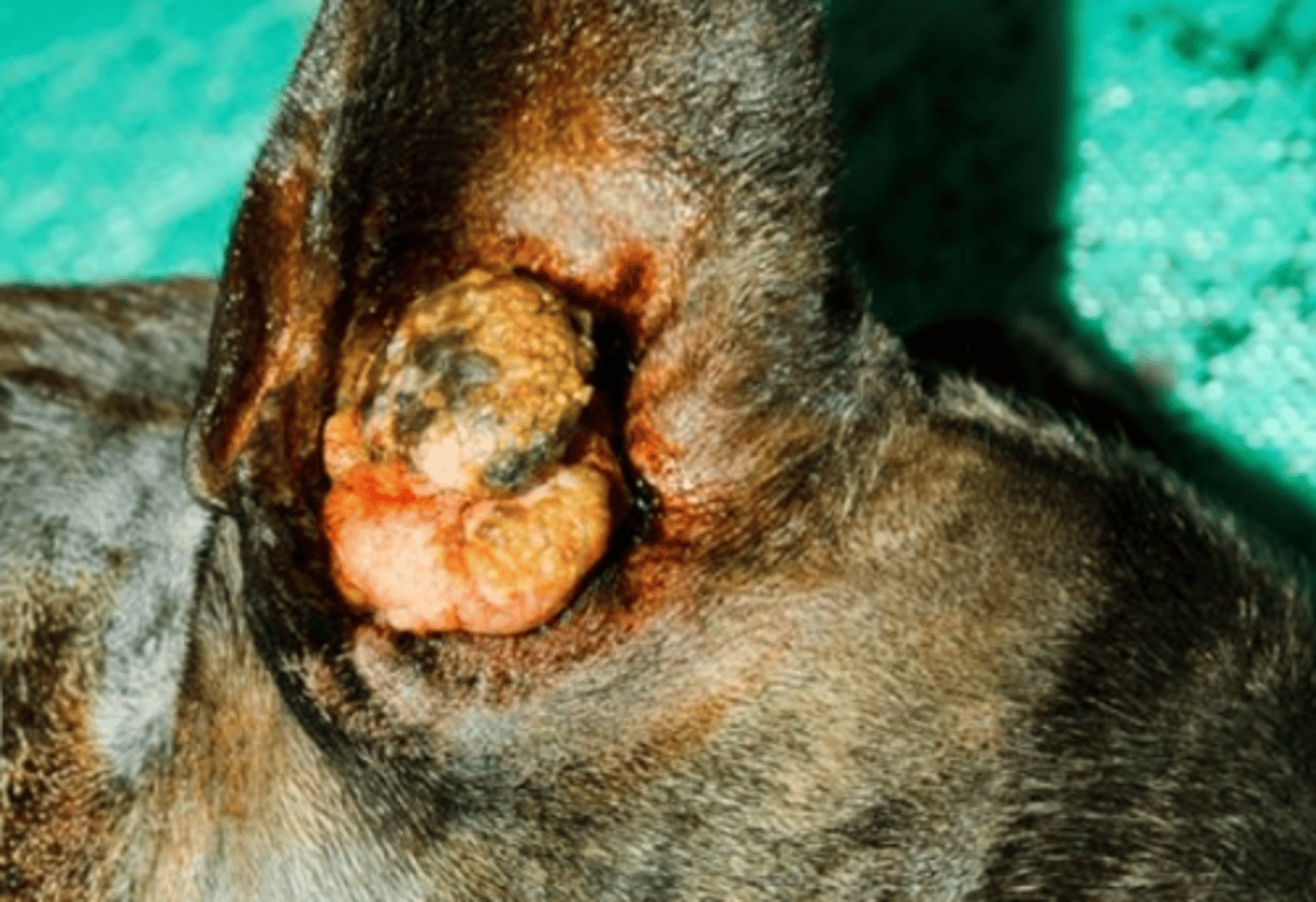 <p>what is this called?</p>