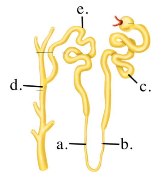 Identify the different parts on the diagram
