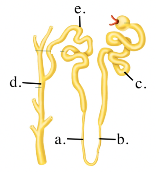 <p>Identify the different parts on the diagram</p>