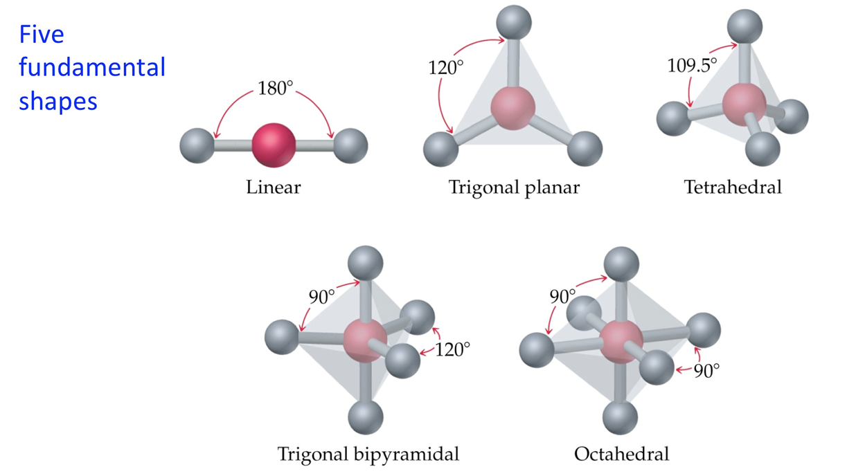 <ul><li><p>linear (180)</p></li><li><p>trigonal planar (120)</p></li><li><p>tetrahedral (109.5)</p></li><li><p>trigonal bipyramidal (90 and 120)</p></li><li><p>octahedral (90)</p></li></ul>