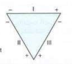 <p>This net dipole belongs to which of the following?</p><p>a. Q wave</p><p>b. S wave</p><p>c. ST segment</p><p>d. R wave</p>