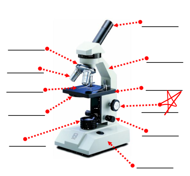 <p>this part of a microscope</p>