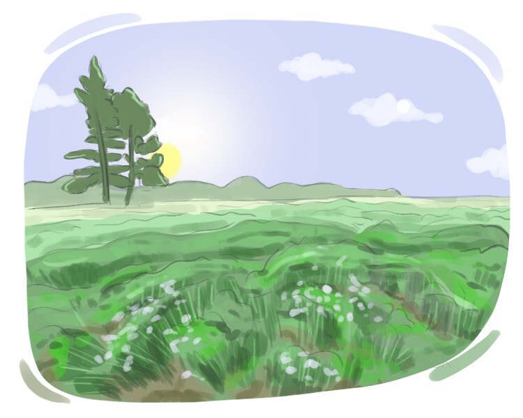 <p>praderas, planicies</p>