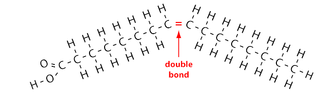 <p>contain one or more double bonds in the carbon chain, liquids at room temp</p>