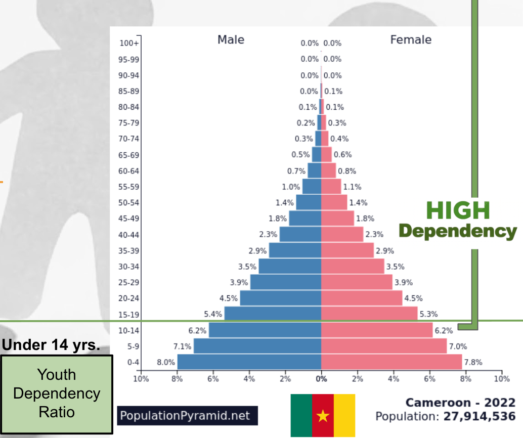 <p><span style="background-color: transparent;">The measure of how many children (0–14) depend on the working-age population (15–64) for care and resources.</span></p>