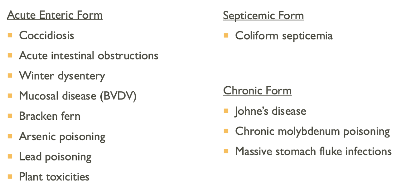 <p>Acute enteric form </p><p>Septicemic form </p><p>Chronic form </p>