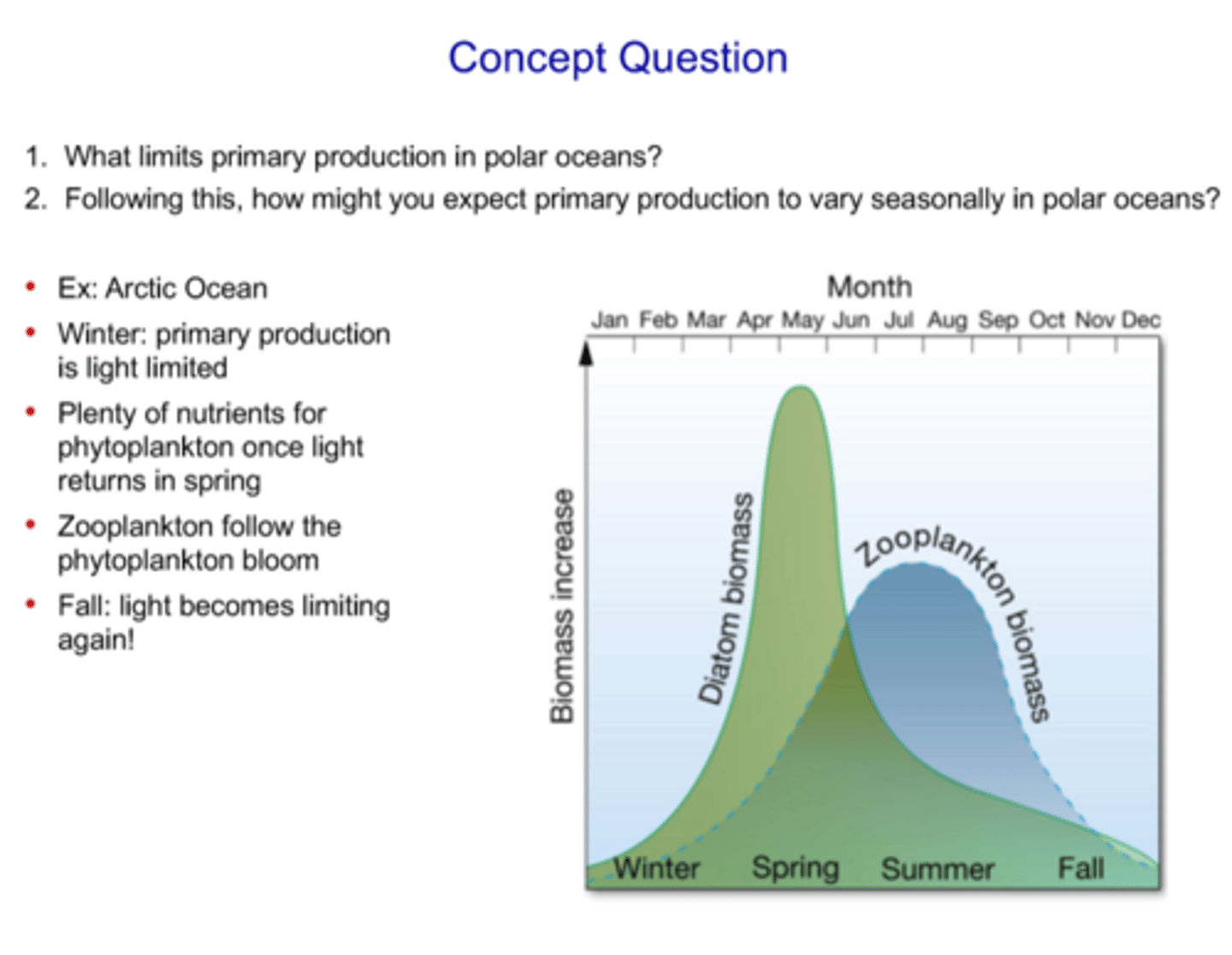 <p>- At high latitude oceans (polar oceans) there is tradeoff between light and nutrients during different seasons</p><p>- Winter:</p><p>- Primary production is limited by light, as daylight hours decrease</p><p>- Nutrients build up in the water because there is not neough light for phytoplankton to actually use it</p><p>- Spring:</p><p>- Light levels increase dramatically</p><p>- When spring arrives, phytoplankton can utilize the nutrients that built up during the spring</p><p>- There is a "bloom," leading to a rapid increase in phytoplnakton biomass</p><p>- Once phytoplankton biomass increases, the zooplankton that consume phytoplankton also see an increased in mass, though it is slightly delayed behind the phytoplankton bloom</p><p>- An early spring bloom of phytoplankton and a dealyed spring bloom of zooplankton</p><p>- Summer:</p><p>- Light levels are high, but much of the nutrients start to be used up</p><p>- Zooplankton conumption of phytoplankton also leads to a decline in phytoplankton biomass</p><p>- Fall:</p><p>- Light becomes limiting again</p>