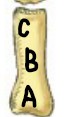<p>What is B</p>