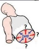 <p>Deep</p>