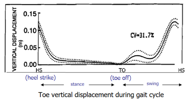 <ul><li><p>critical event in gait cycle that is responsible for clearing obstacles</p></li><li><p>MTC is normally 15-20 mm</p></li><li><p>MTC happens during mid-swing when the foot’s speed is approximately 3 times higher than walking speed. This is where the CoM is ahead of the body and if the foot catches onto something, the CoM will go outside the body and cause a fall.</p></li></ul><p></p>