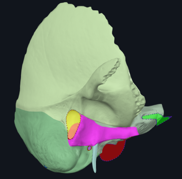 term image