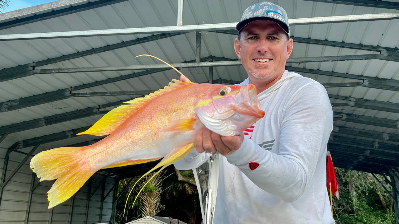 <p>Pelvic fins are long and trailing</p><p>dorsal and anal fins have trailing filaments</p><p>yellow stripe from below the eye from snout to opercular margin</p><p>rosy red color dorsally, then to silvery below with yellow on sides</p><p>larger specimens have an elongate filament on their dorsal spine</p>