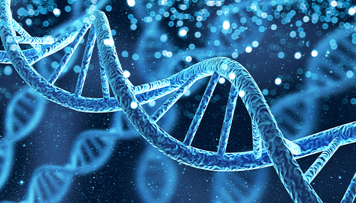 <p><span>DNA&nbsp; is found in the </span><strong>nucleus </strong><span>of cells and contains </span><strong>genetic material</strong><span>, which carries the instructions for an organism’s development, functioning, growth, and reproduction.</span></p>