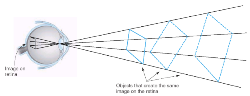 <p>Retinal image is ambiguous → an object can create an infinite number of responses</p>